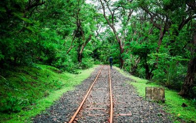 Sanjay Gandhi National Park, Mumbai