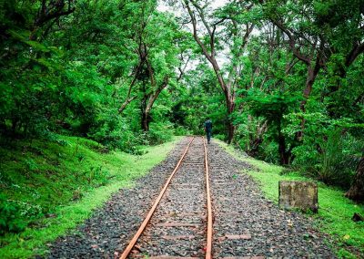 Sanjay-Gandhi-National-Park-1